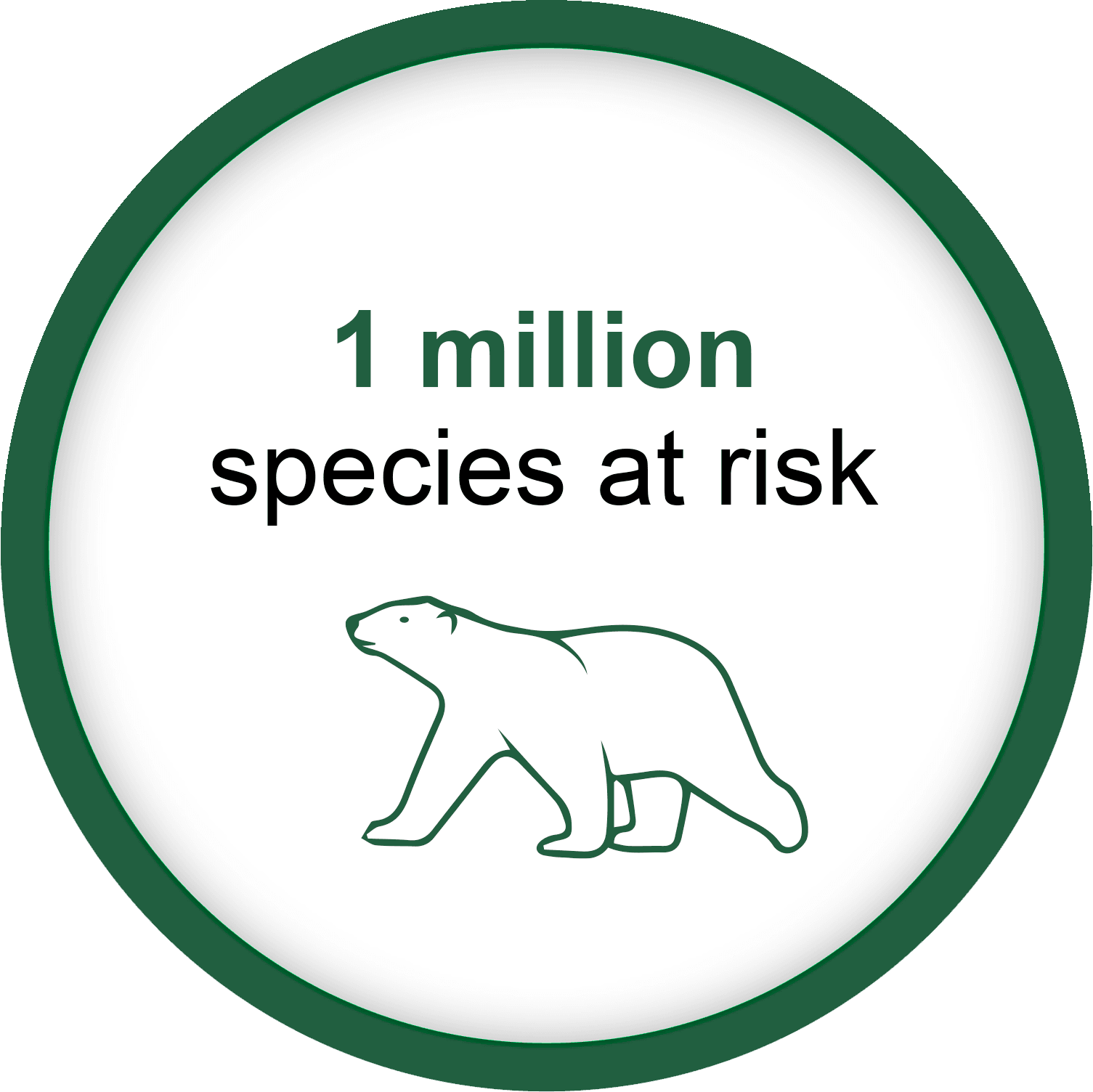 1mil-species-at-risk-bear